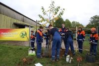 Die Jugendfeuerwehr Rohrbach pflanzt Obstbäume. (Foto: Tobias Dittmer) Kinder der Jugendfeuerwehr pflanzen Bäume.