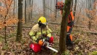 Der Ausbilder beobachtet wie den knieenden Feuerwehrangehörige, wie diese die Kettensäge am Baum ansetzt.